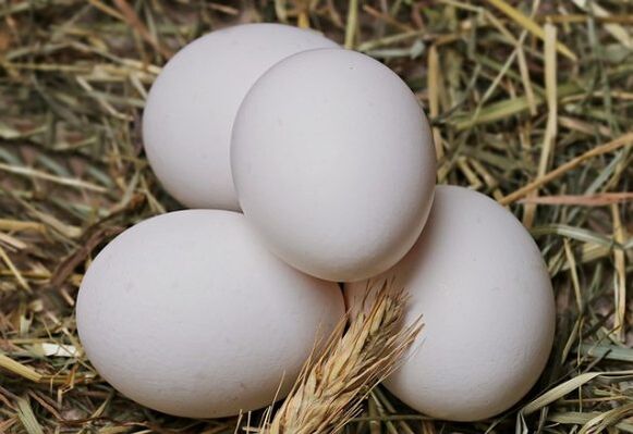 Диетата со јајца вклучува секојдневно јадење пилешки јајца. 